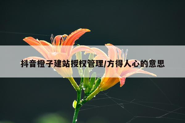 抖音橙子建站授权管理/方得人心的意思