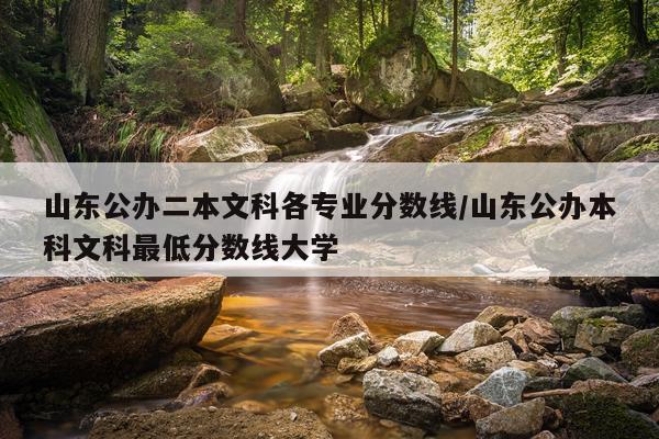 山东公办二本文科各专业分数线/山东公办本科文科最低分数线大学