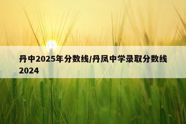 丹中2025年分数线/丹凤中学录取分数线2024