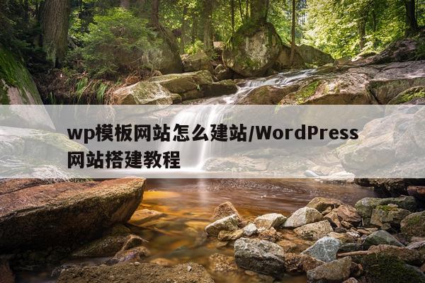 wp模板网站怎么建站/WordPress网站搭建教程