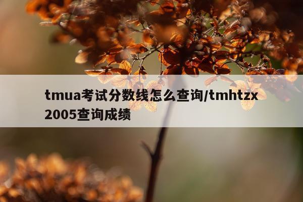 tmua考试分数线怎么查询/tmhtzx2005查询成绩