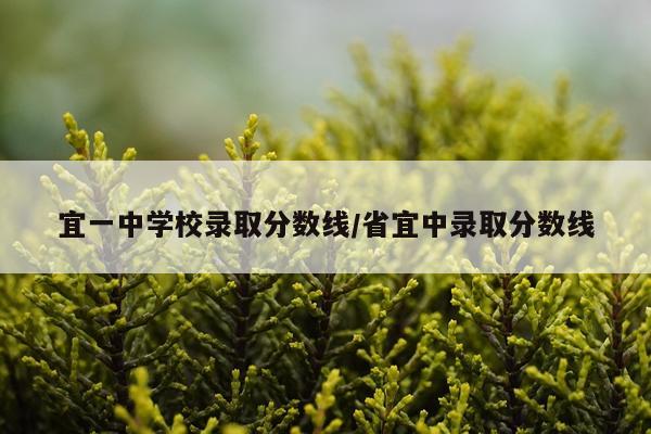 宜一中学校录取分数线/省宜中录取分数线