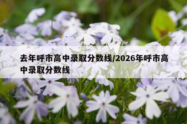 去年呼市高中录取分数线/2026年呼市高中录取分数线