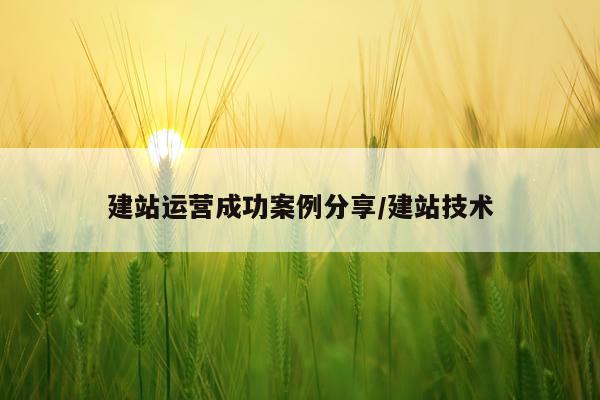 建站运营成功案例分享/建站技术