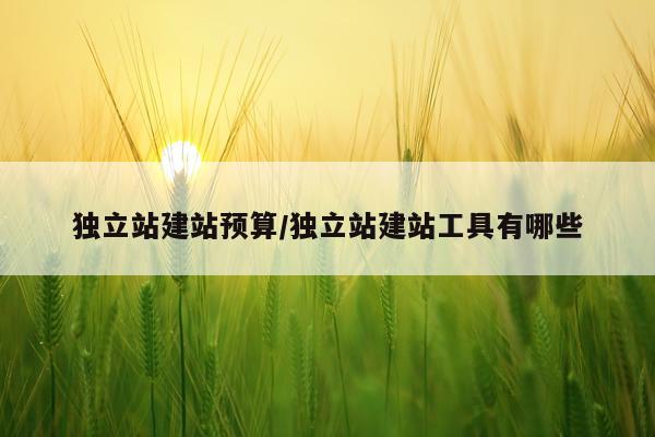 独立站建站预算/独立站建站工具有哪些