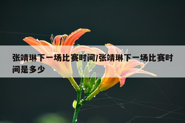 张靖琳下一场比赛时间/张靖琳下一场比赛时间是多少