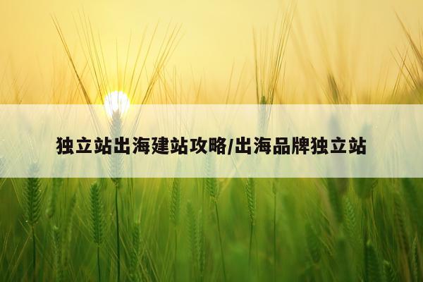 独立站出海建站攻略/出海品牌独立站