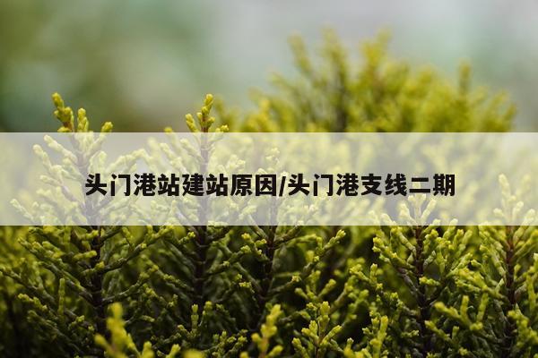 头门港站建站原因/头门港支线二期