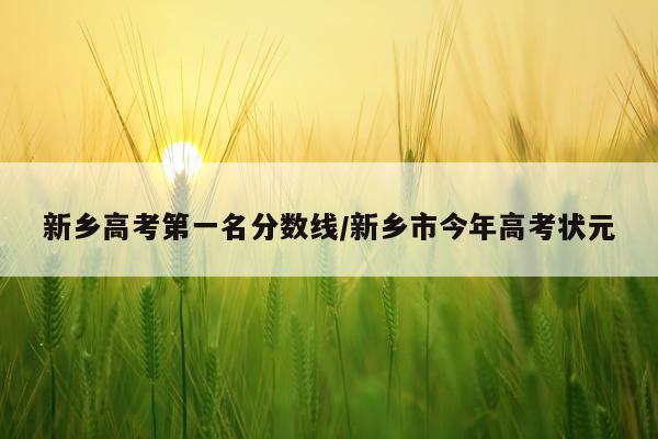 新乡高考第一名分数线/新乡市今年高考状元