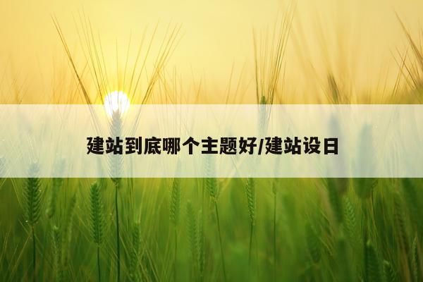 建站到底哪个主题好/建站设日