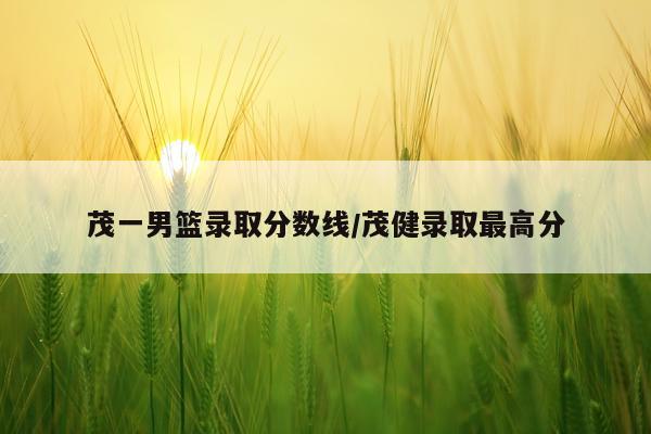 茂一男篮录取分数线/茂健录取最高分