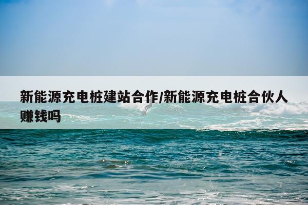 新能源充电桩建站合作/新能源充电桩合伙人赚钱吗