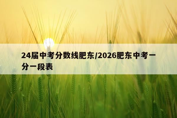 24届中考分数线肥东/2026肥东中考一分一段表