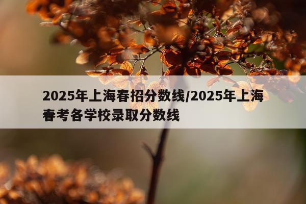 2025年上海春招分数线/2025年上海春考各学校录取分数线