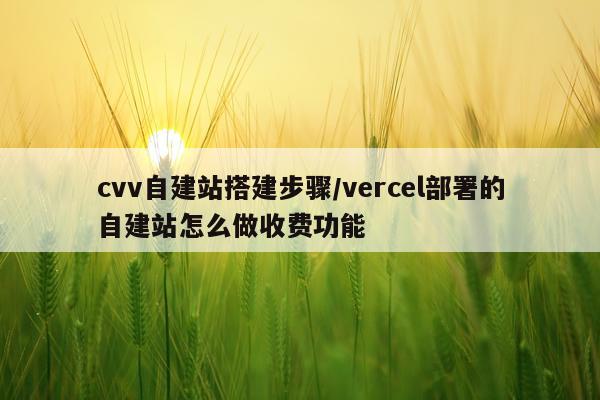 cvv自建站搭建步骤/vercel部署的自建站怎么做收费功能