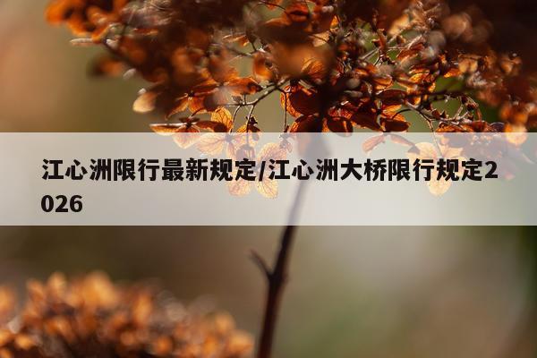 江心洲限行最新规定/江心洲大桥限行规定2026