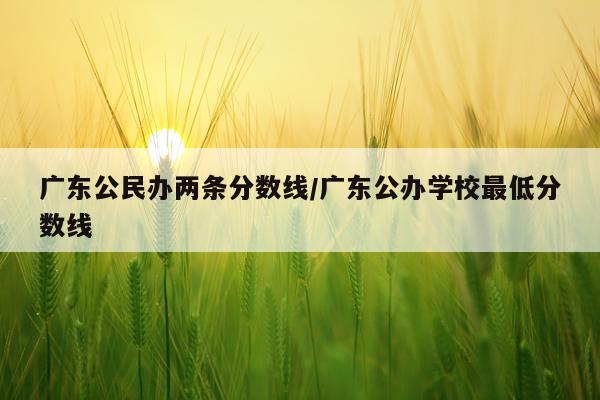 广东公民办两条分数线/广东公办学校最低分数线