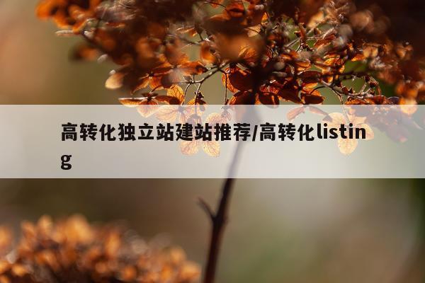 高转化独立站建站推荐/高转化listing