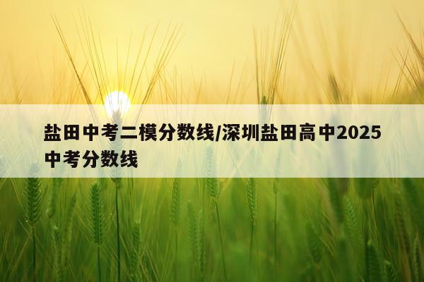 盐田中考二模分数线/深圳盐田高中2025中考分数线