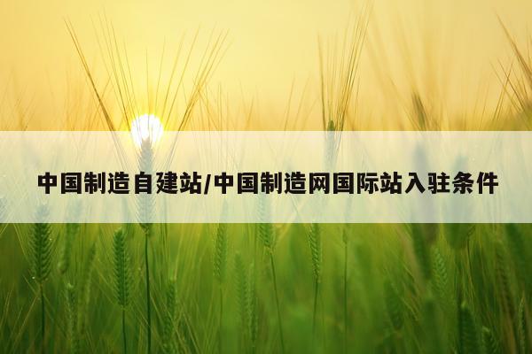 中国制造自建站/中国制造网国际站入驻条件