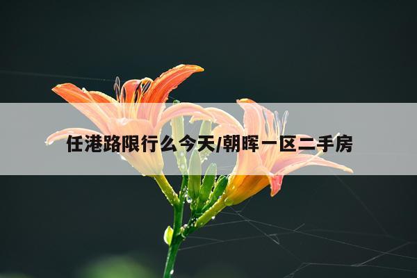 任港路限行么今天/朝晖一区二手房