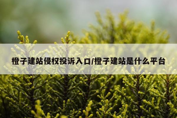 橙子建站侵权投诉入口/橙子建站是什么平台