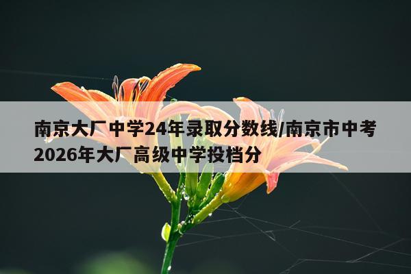 南京大厂中学24年录取分数线/南京市中考2026年大厂高级中学投档分