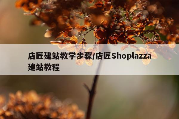 店匠建站教学步骤/店匠Shoplazza建站教程