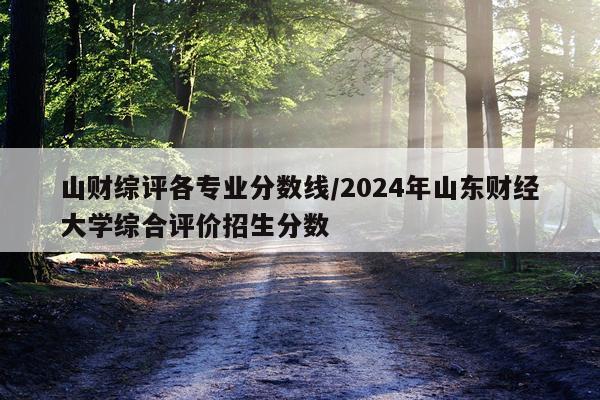 山财综评各专业分数线/2024年山东财经大学综合评价招生分数