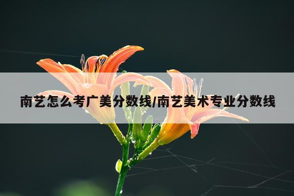 南艺怎么考广美分数线/南艺美术专业分数线