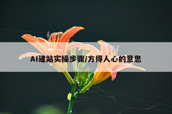 AI建站实操步骤/方得人心的意思