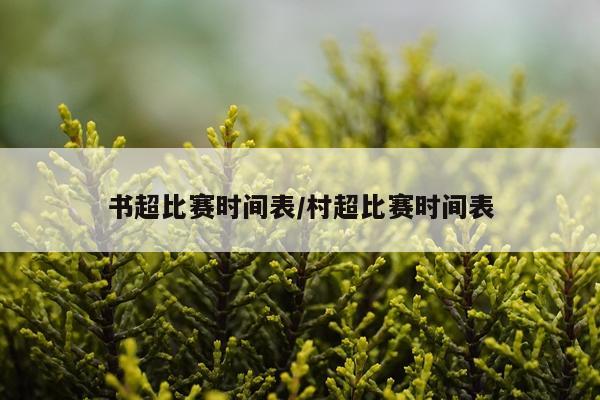 书超比赛时间表/村超比赛时间表