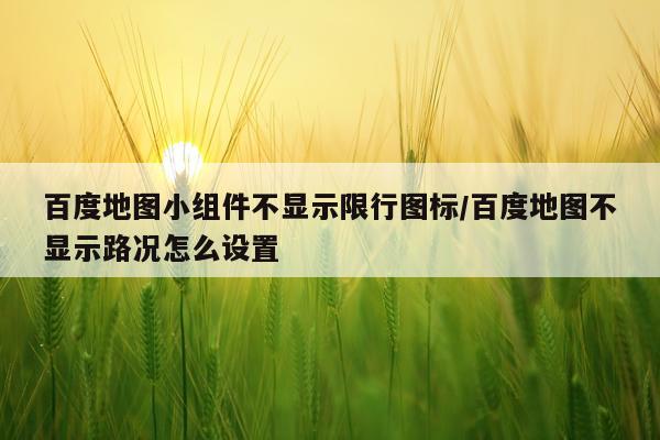百度地图小组件不显示限行图标/百度地图不显示路况怎么设置
