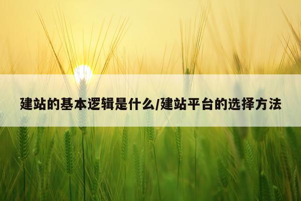 建站的基本逻辑是什么/建站平台的选择方法