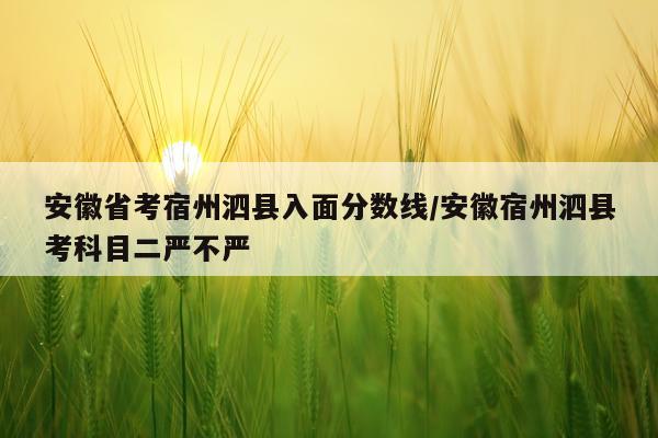 安徽省考宿州泗县入面分数线/安徽宿州泗县考科目二严不严