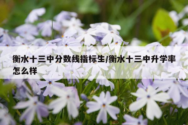 衡水十三中分数线指标生/衡水十三中升学率怎么样