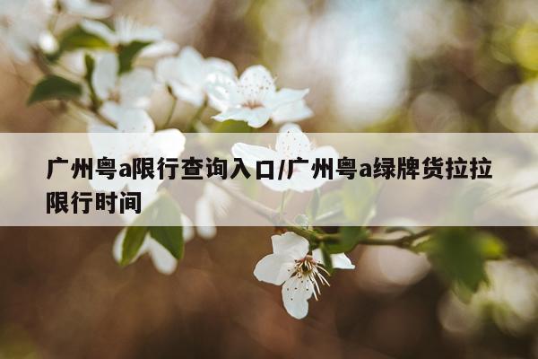 广州粤a限行查询入口/广州粤a绿牌货拉拉限行时间