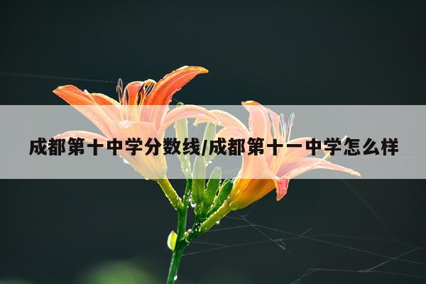 成都第十中学分数线/成都第十一中学怎么样