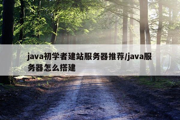 java初学者建站服务器推荐/java服务器怎么搭建