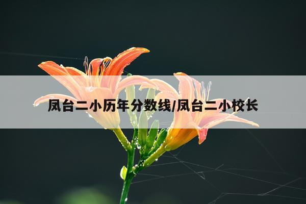 凤台二小历年分数线/凤台二小校长
