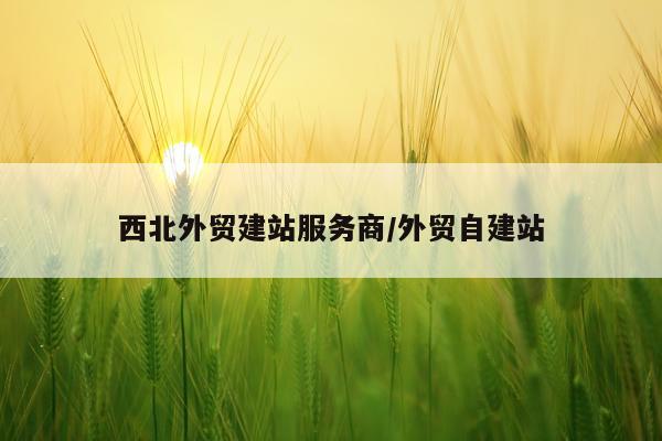 西北外贸建站服务商/外贸自建站