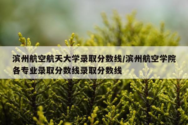 滨州航空航天大学录取分数线/滨州航空学院各专业录取分数线录取分数线