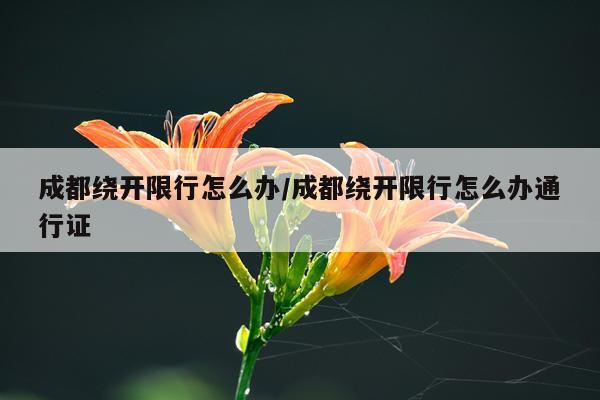成都绕开限行怎么办/成都绕开限行怎么办通行证