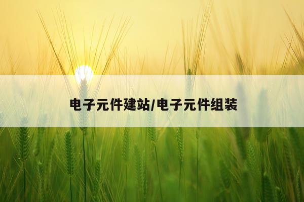 电子元件建站/电子元件组装
