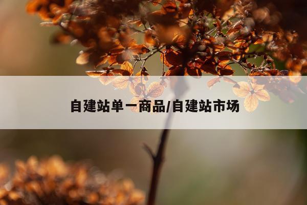 自建站单一商品/自建站市场