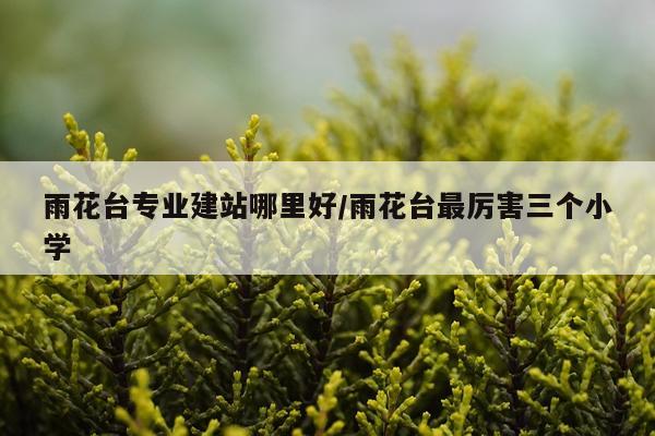 雨花台专业建站哪里好/雨花台最厉害三个小学