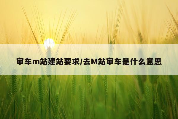 审车m站建站要求/去M站审车是什么意思