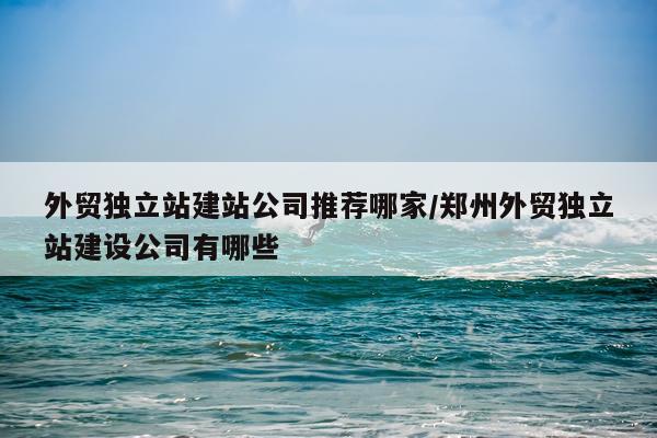 外贸独立站建站公司推荐哪家/郑州外贸独立站建设公司有哪些