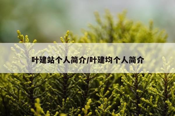 叶建站个人简介/叶建均个人简介