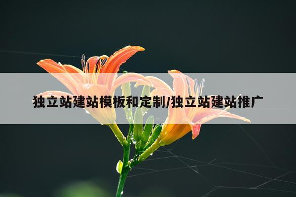独立站建站模板和定制/独立站建站推广